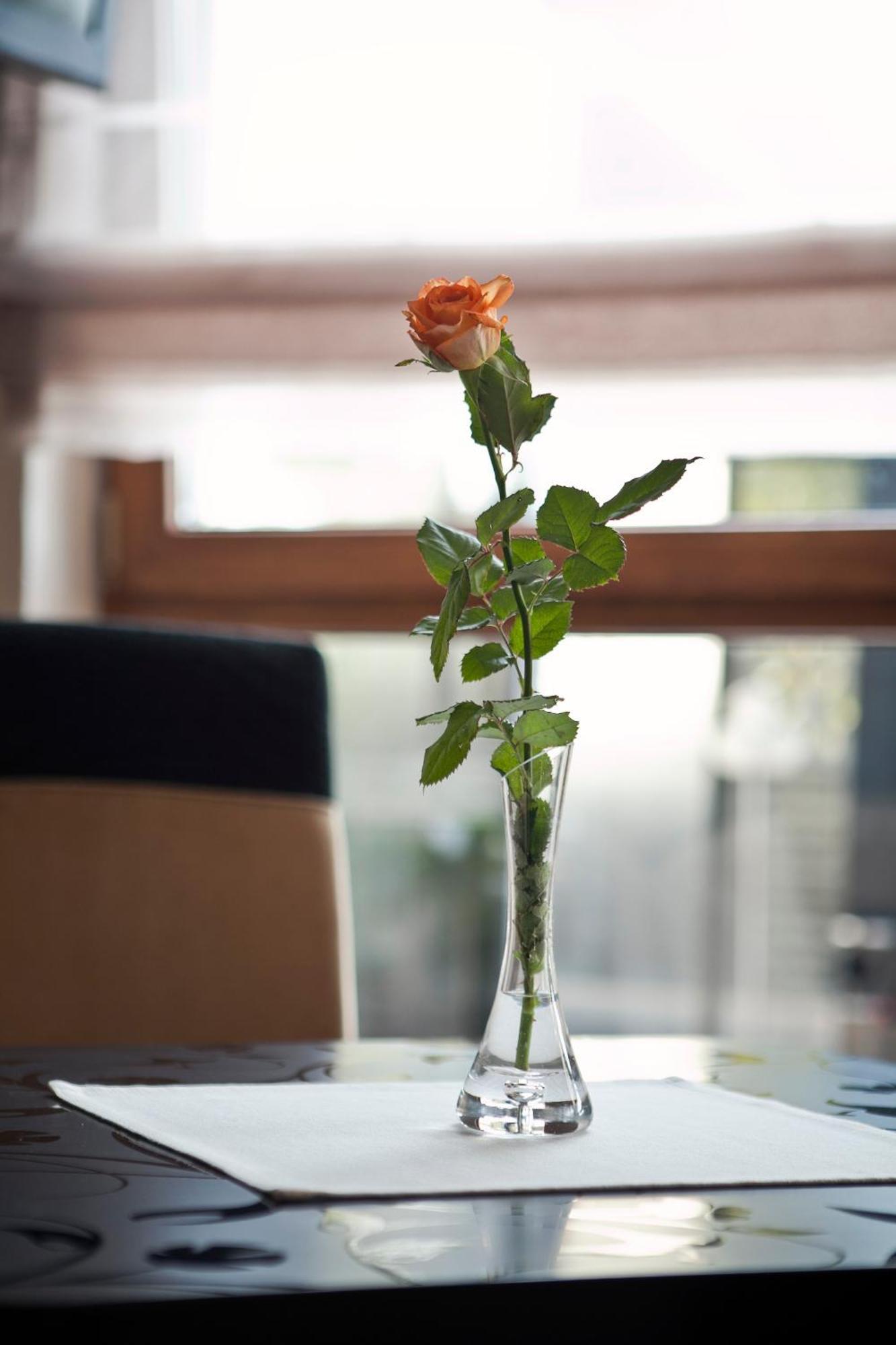 M Hotel Sosnowiec Bagian luar foto